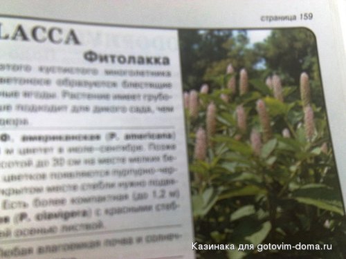 133.jpg