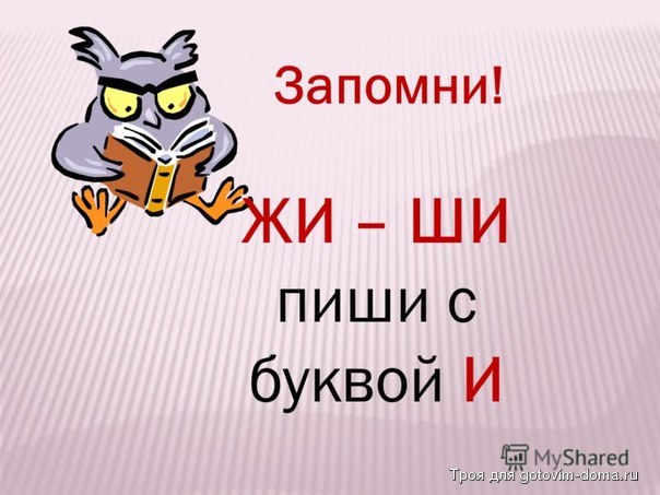 жи.jpg