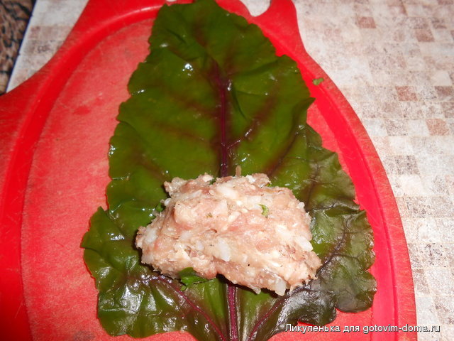 DSCN1287.JPG