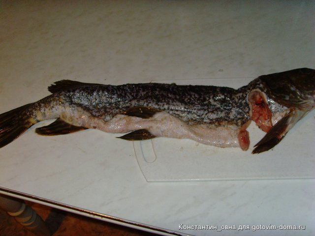 SNV32845.JPG