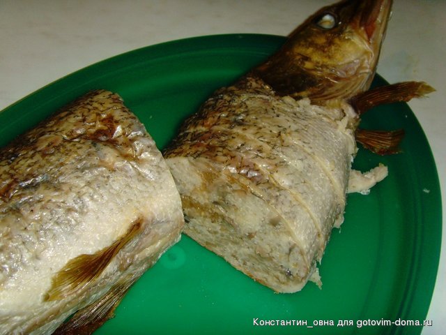 SNV32864.JPG