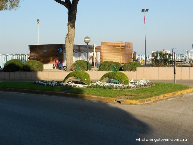 DSCN1490.JPG