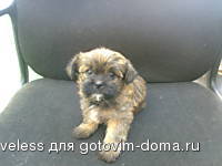 0f81_18.jpg