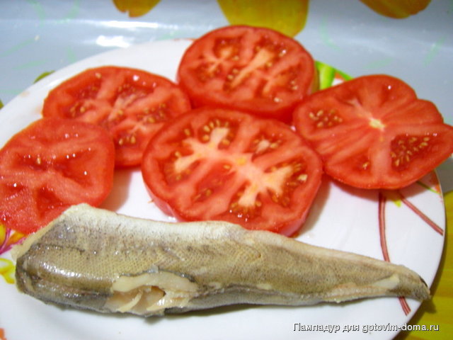 DSCN1738.JPG