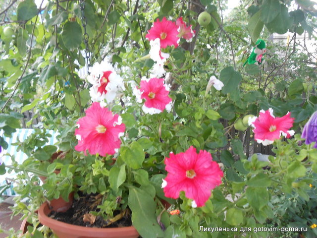 DSCN1591.JPG
