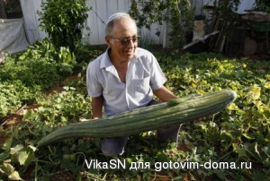 Cucumber.jpg