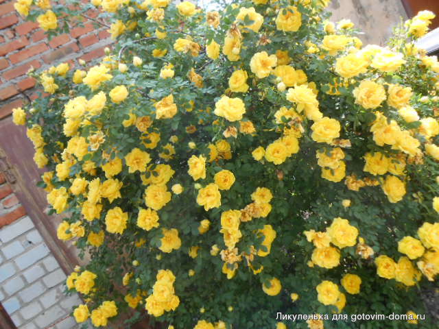 DSCN9773.JPG