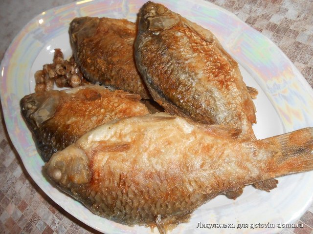 DSCN1830.JPG