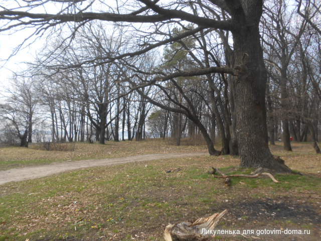 DSCN4101.JPG