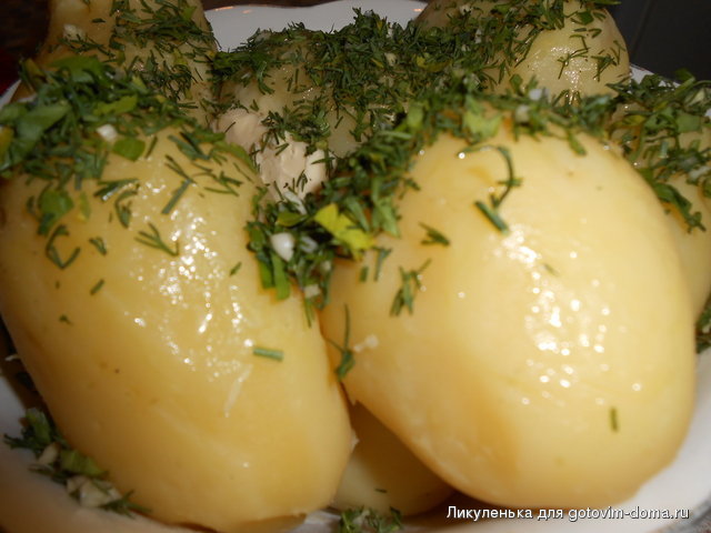DSCN0776.JPG