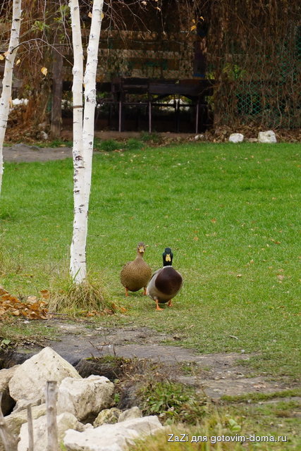 DSC04664.JPG