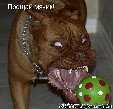 1236072111_ry.jpg