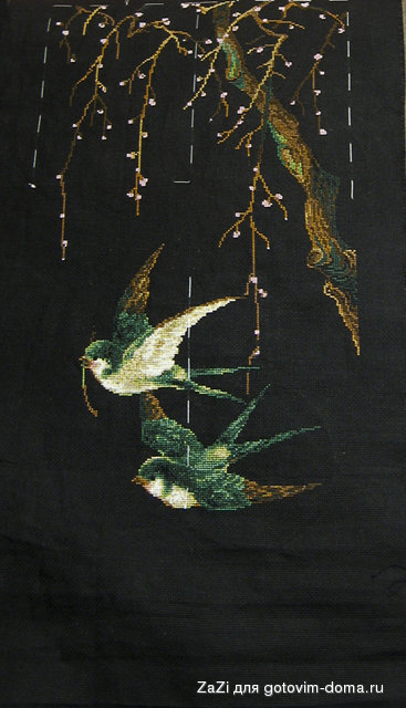 bird-2.jpg
