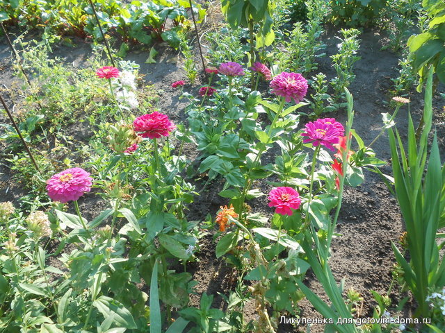DSCN1606.jpg