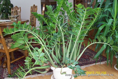 100_2982.jpg