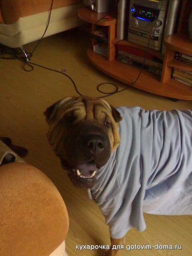 14072008229.jpg