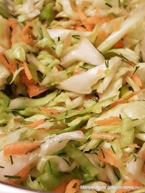 Салат из свежей белок.капусты.jpg