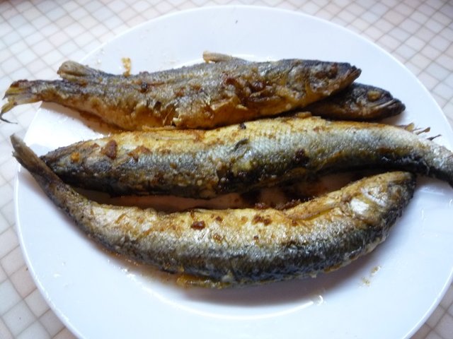 P1220310.JPG