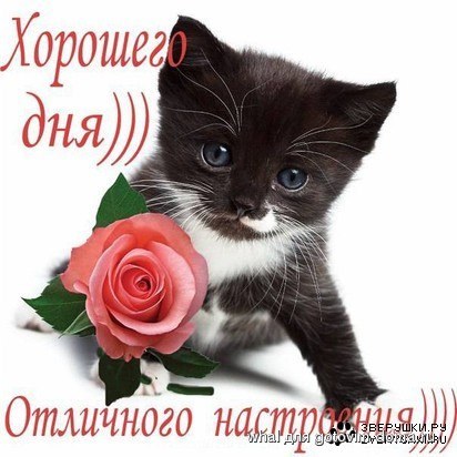 1353068062_g63ze-nexq0.jpg