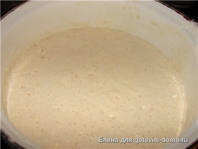 опара.jpg