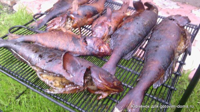 IMG_20150801_191747.jpg