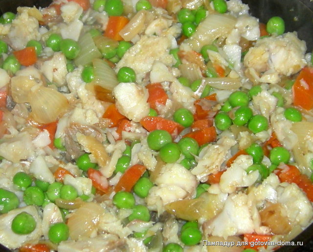 DSCN0074.JPG