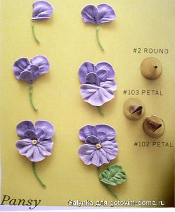 pansy.jpg