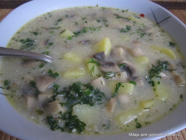 Суп картофельный с грибами.JPG