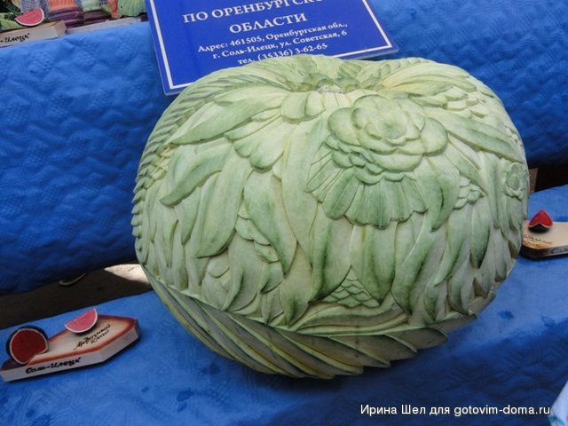 DSC05639.JPG