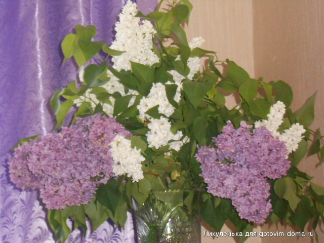 DSCN1937.JPG