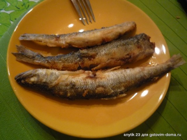 P1200524.JPG