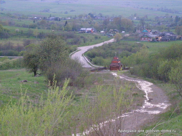 P5010129.jpg