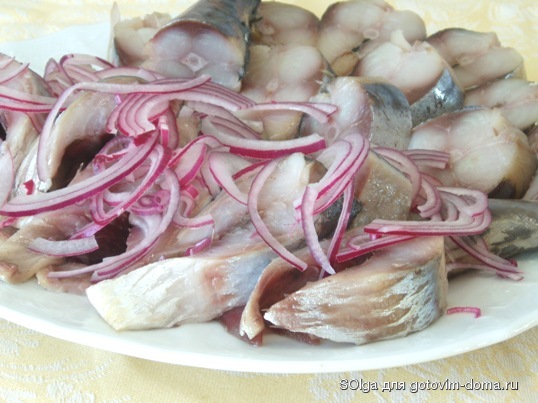 селедка и скумбрия.JPG