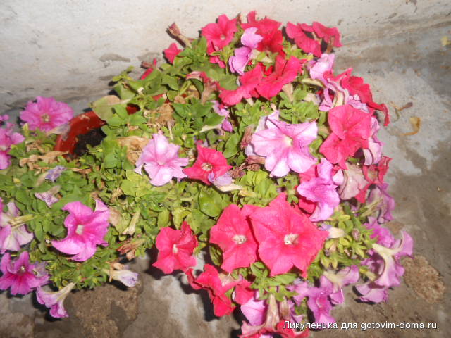 DSCN1188.JPG