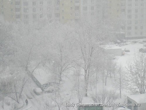 P2150022.JPG