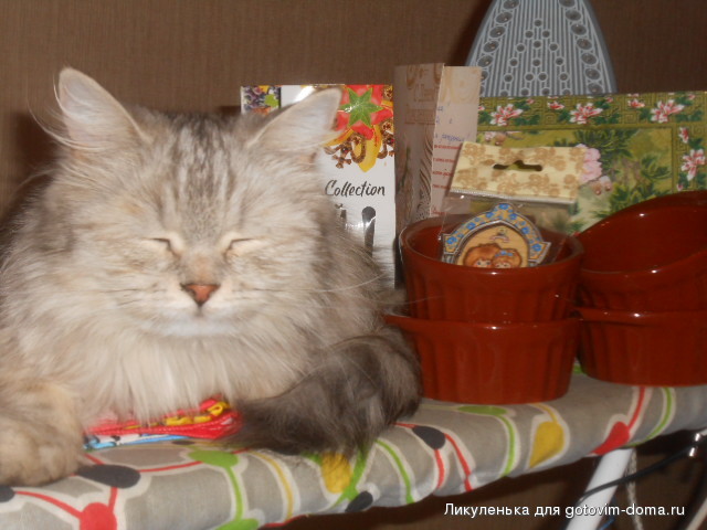 DSCN7927.JPG