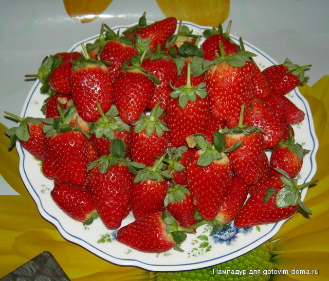 DSCN1400.JPG
