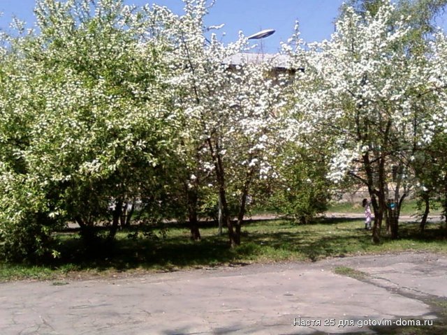 SP_A0323.jpg