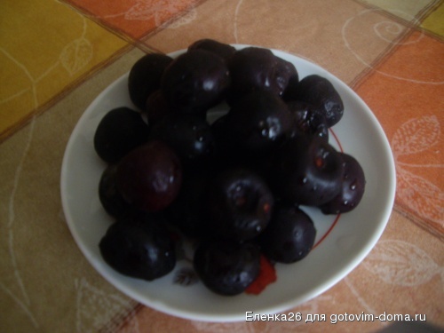 IMGP1488.JPG