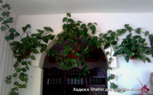 20100609_0202.jpg
