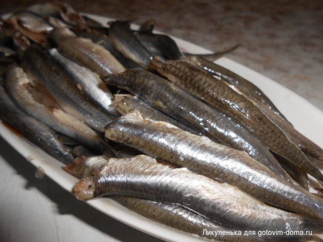 DSCN6360.JPG