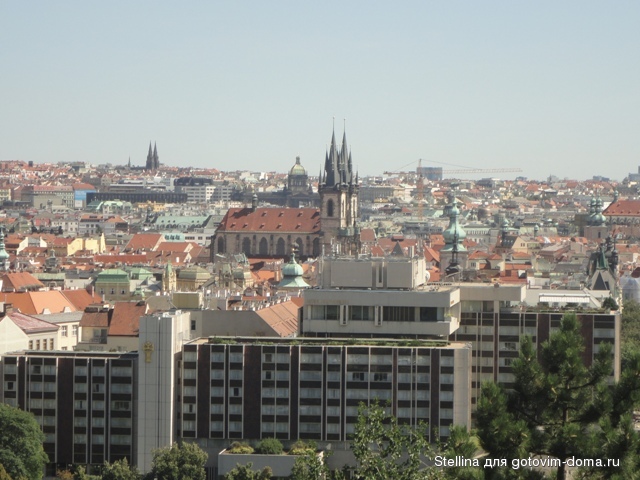 DSC01956.JPG