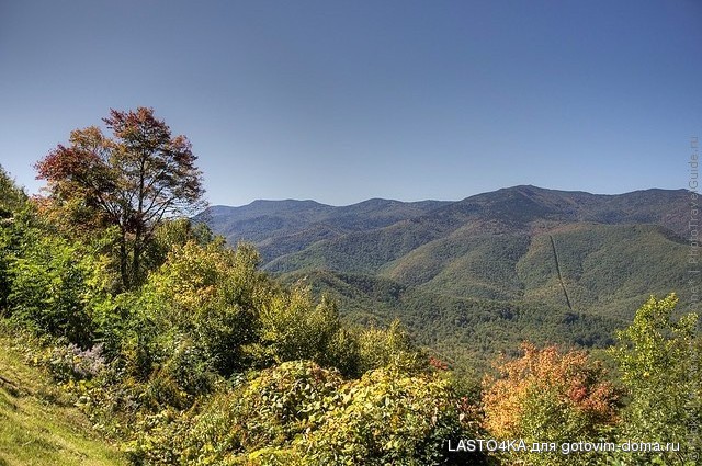 blue-ridge-parkway-07.jpg