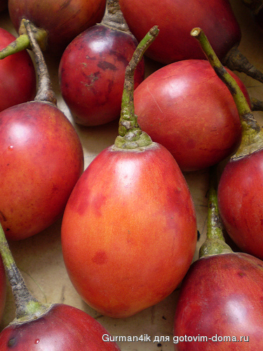 Tamarillo.jpg