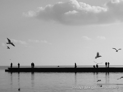 people_and_birds.jpg