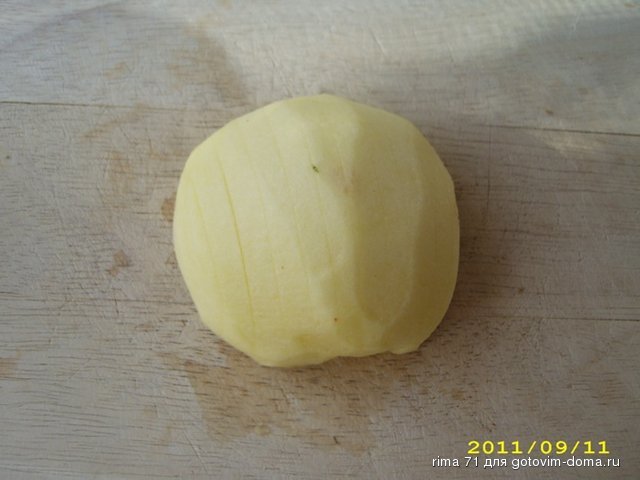 DSCI0029.JPG