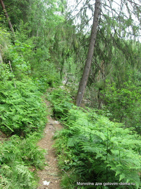 IMG_9772.JPG