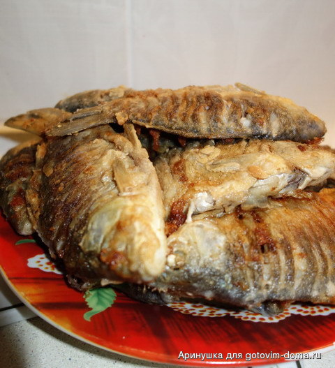 DSC00510.jpg