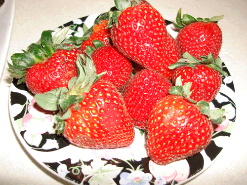 Picture-1058.gif