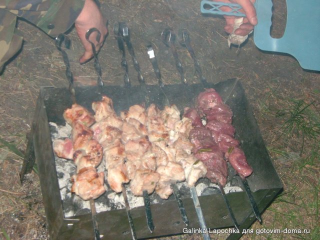 DSC08348.JPG